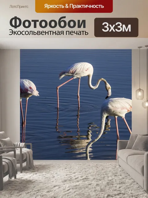 Фотообои Птицы