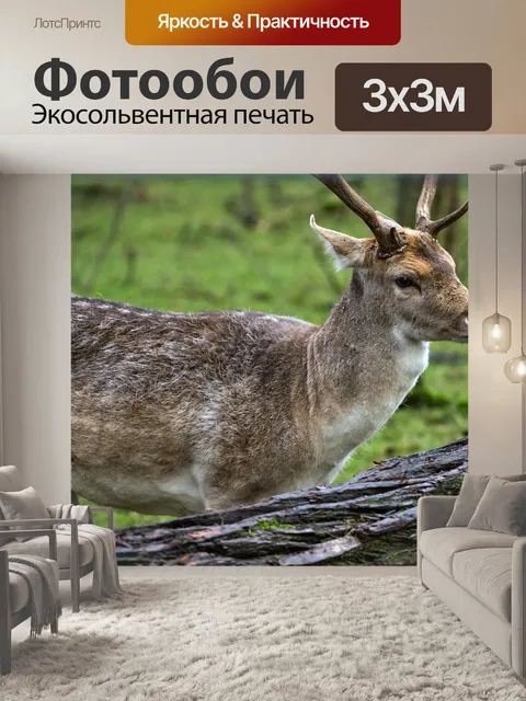 Фотообои Лань