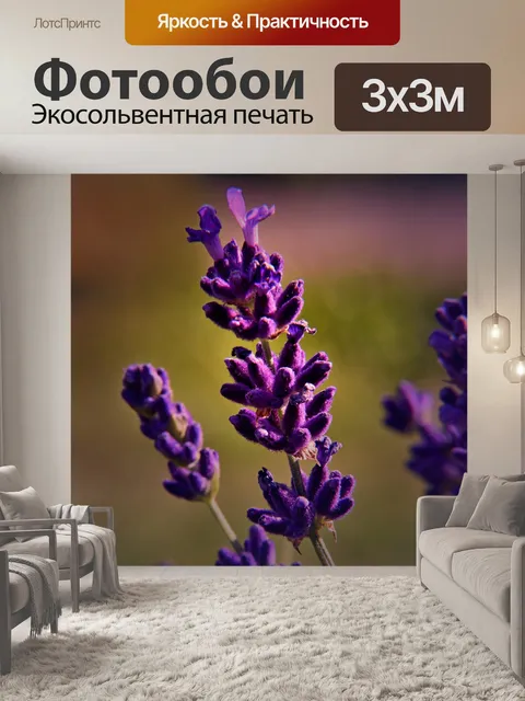 Фотообои Лаванда