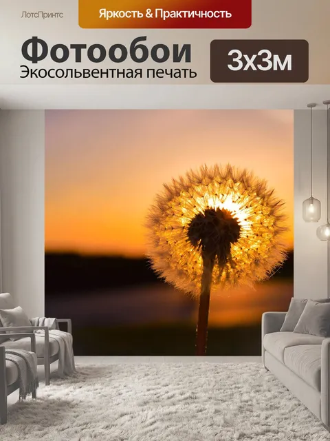 Фотообои Одуванчик