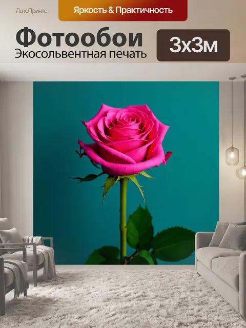 Фотообои розы в стиле минимализм