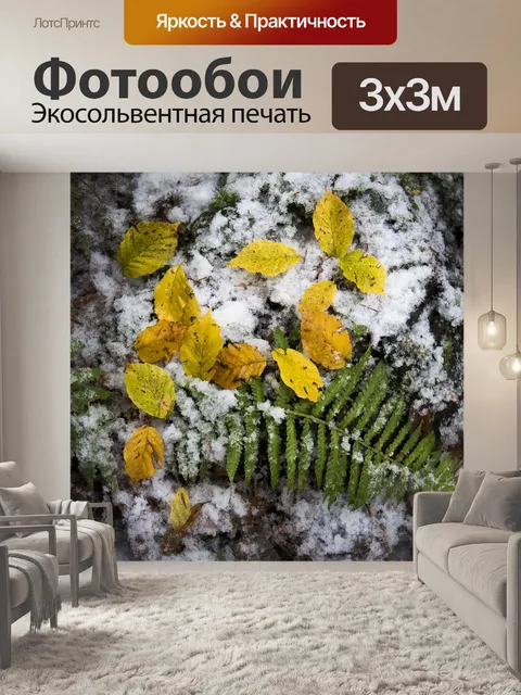 Фотообои Папоротник
