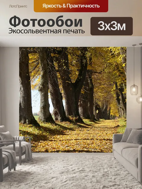 Фотообои Марктобердорф