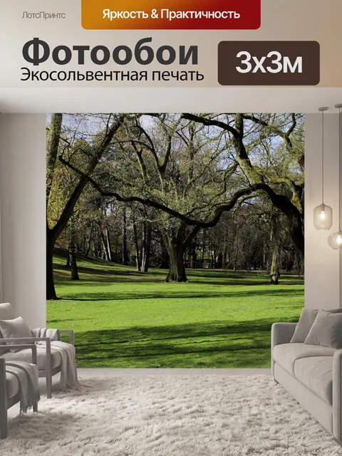 Фотообои Парк с деревьями