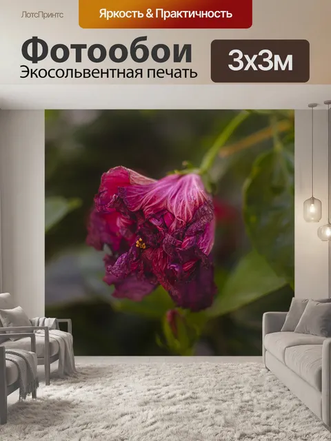 Фотообои Цветы