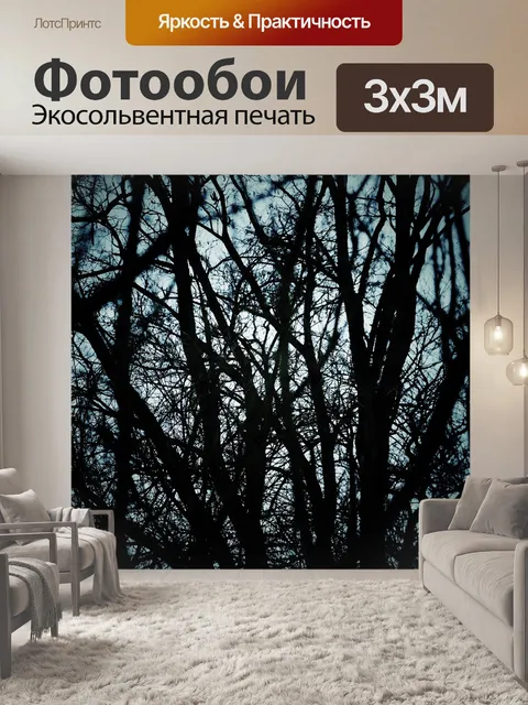 Фотообои Деревья