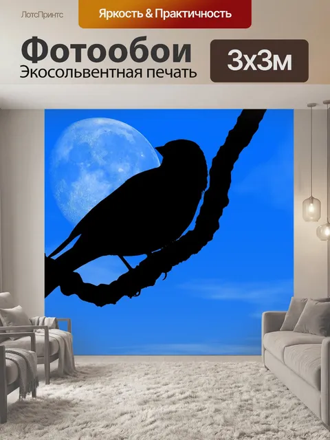 Фотообои Ночь