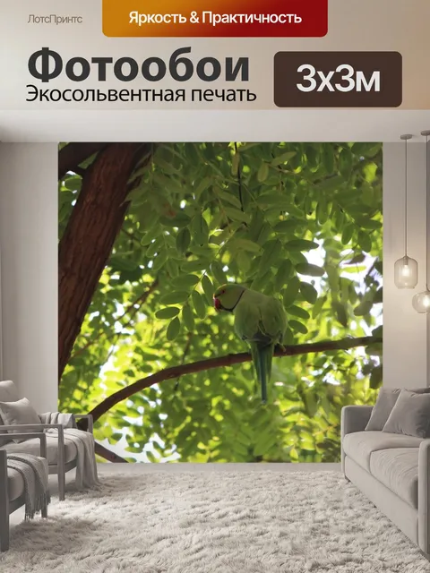 Фотообои Крамер попугай