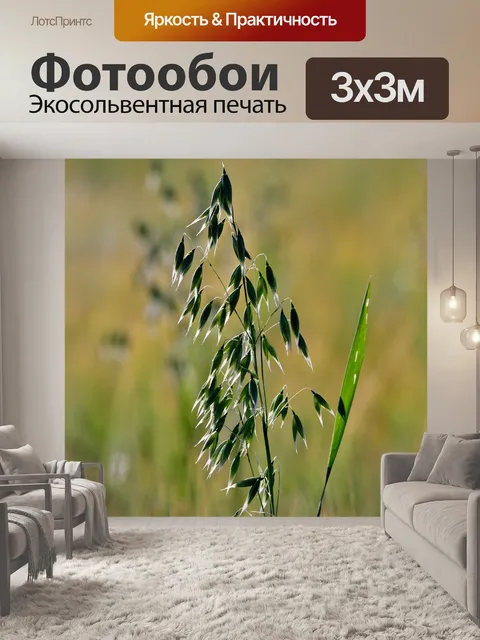 Фотообои Овес