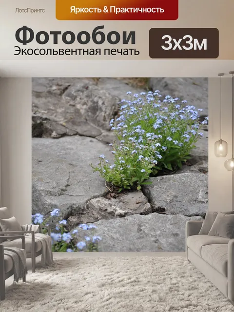 Фотообои Цветы