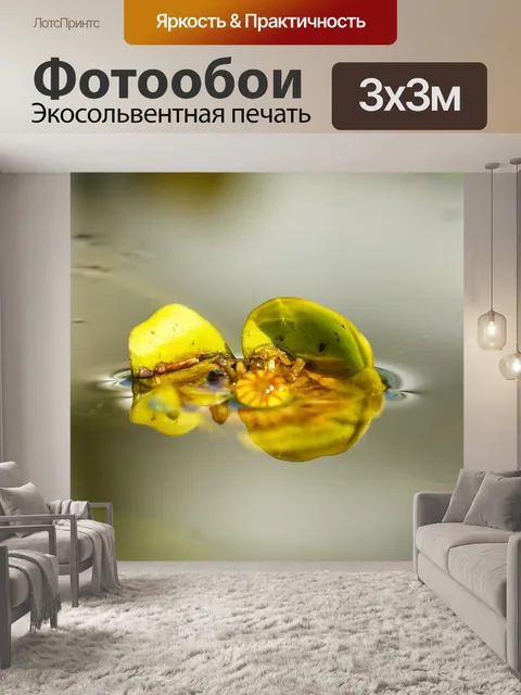 Фотообои Водяная лилия