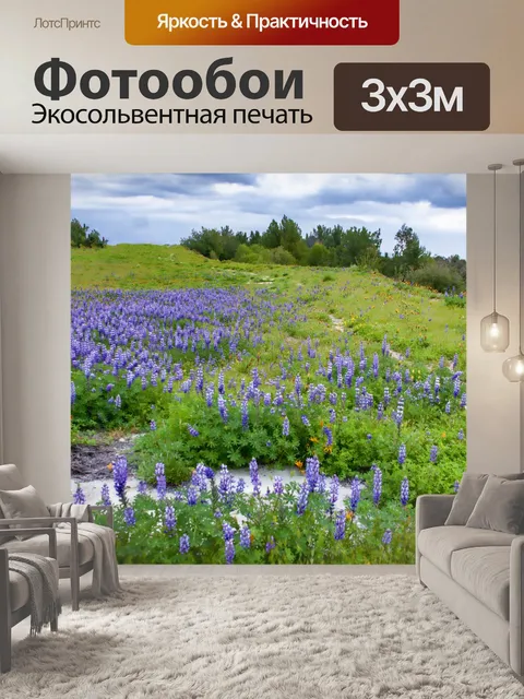 Фотообои Пейзаж полевого цветка