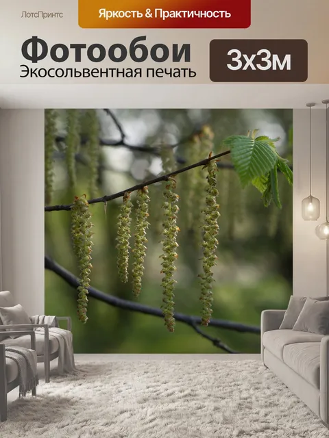 Фотообои Лесной орех