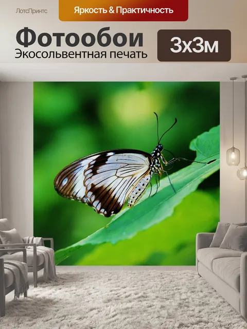 Фотообои Браун