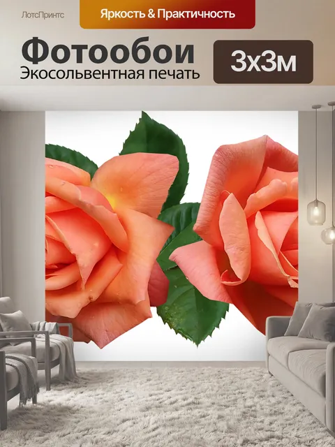 Фотообои Розы
