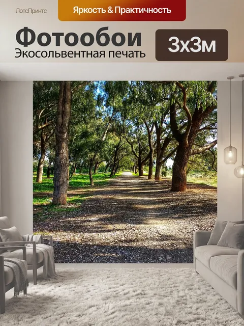 Фотообои Лес