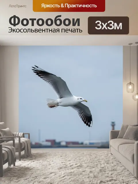 Фотообои Чайка в полёте над морем
