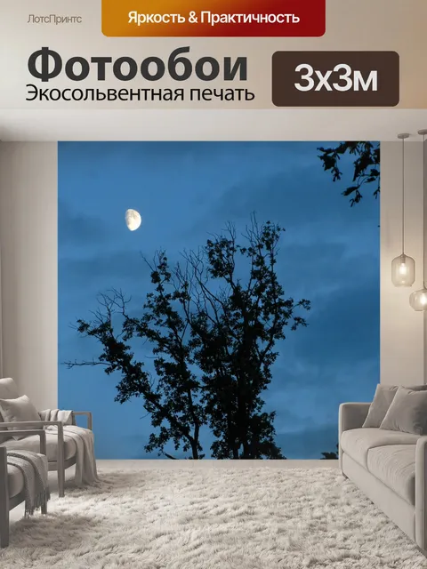 Фотообои Луна