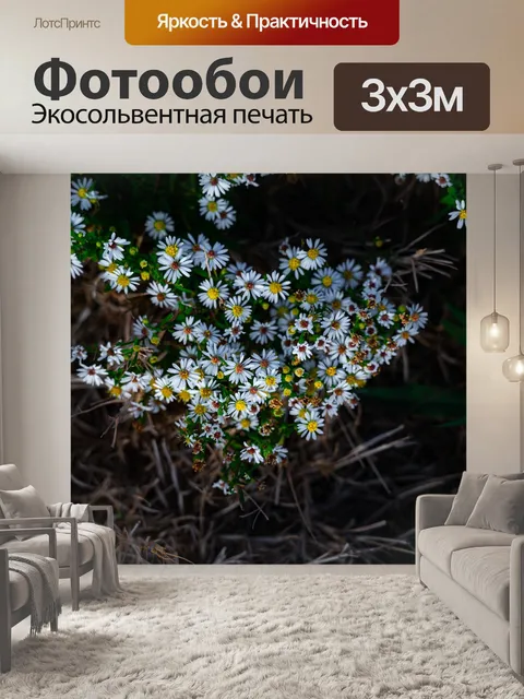 Фотообои Цветы