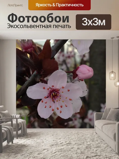 Фотообои Вишня