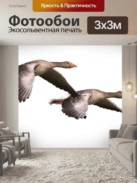 Фотообои Гуси