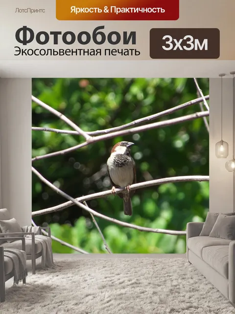 Фотообои Птица