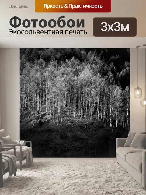Фотообои Лес