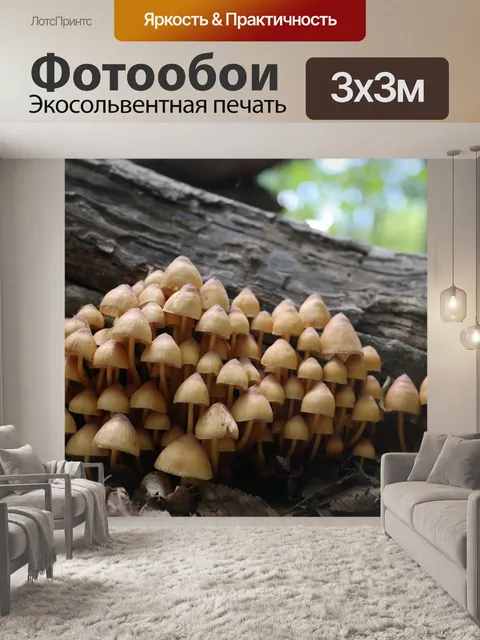 Фотообои Лес