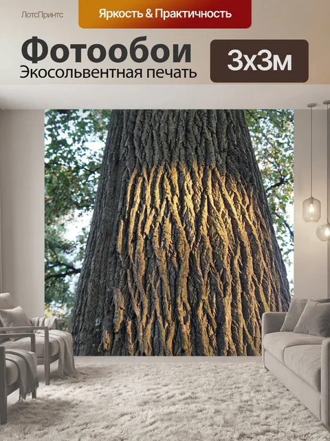 Фотообои Дерево
