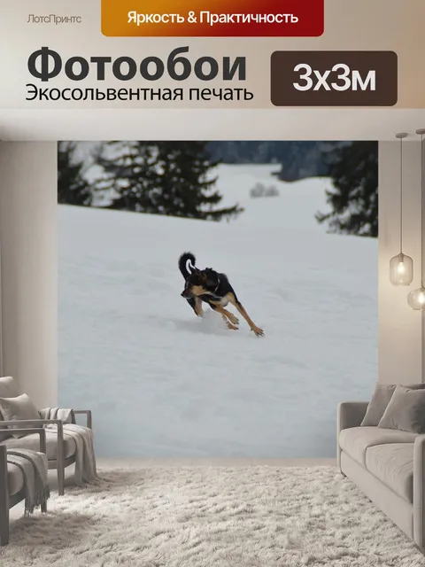 Фотообои Зима