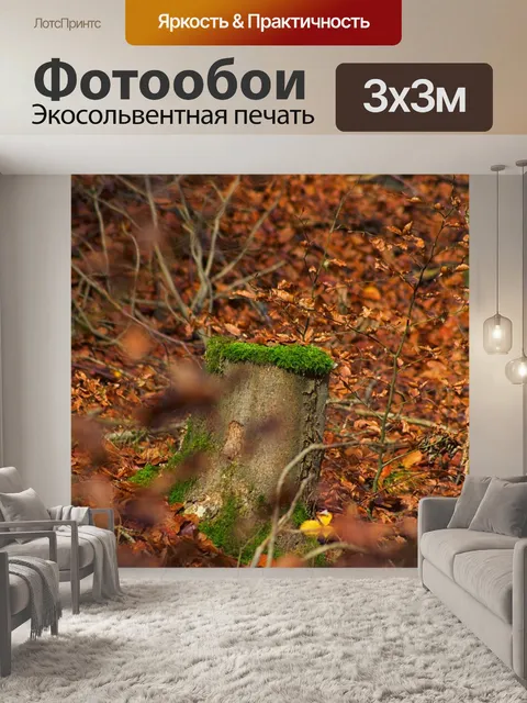 Фотообои Деревья