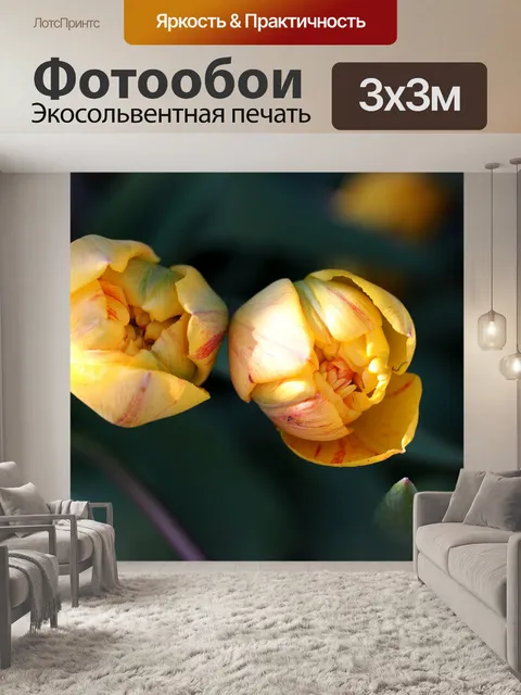Фотообои Тюльпан sunlover