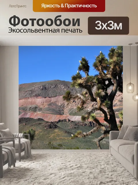 Фотообои Joshua Tree и Заминированный Mountain
