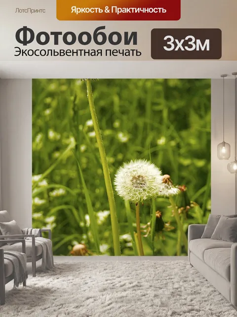 Фотообои Одуванчик