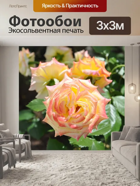 Фотообои Розы
