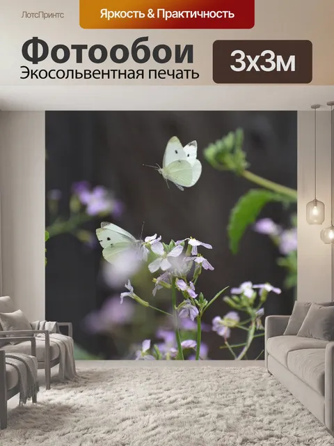 Фотообои Два