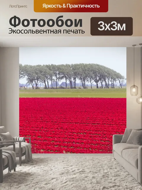 Фотообои Тюльпан