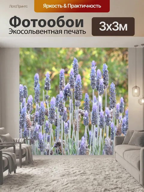 Фотообои Лаванда