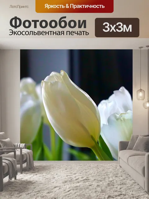 Фотообои Цветы