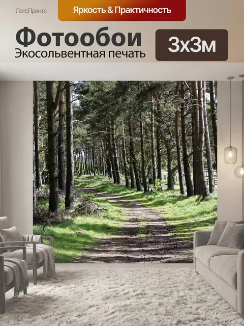 Фотообои Лесной массив