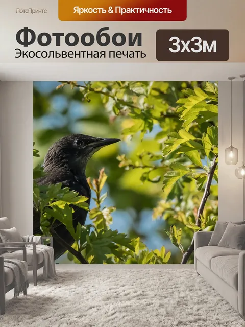 Фотообои Птица