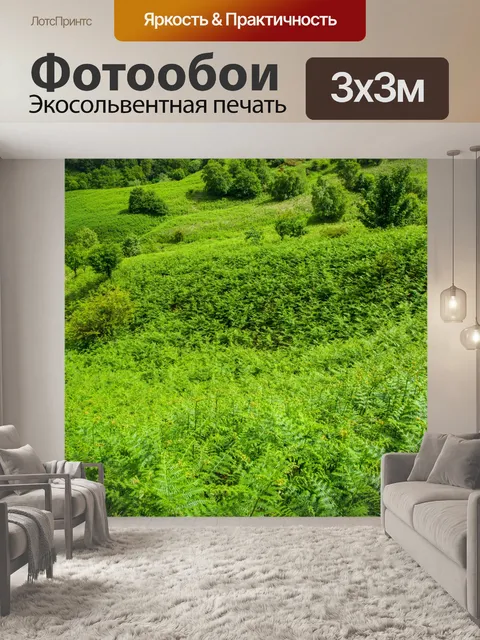 Фотообои Луг полный папоротников
