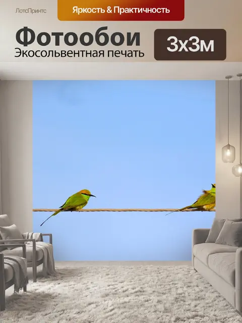 Фотообои Птицы