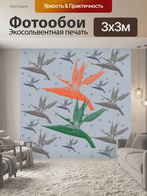 Фотообои Фон райской птицы