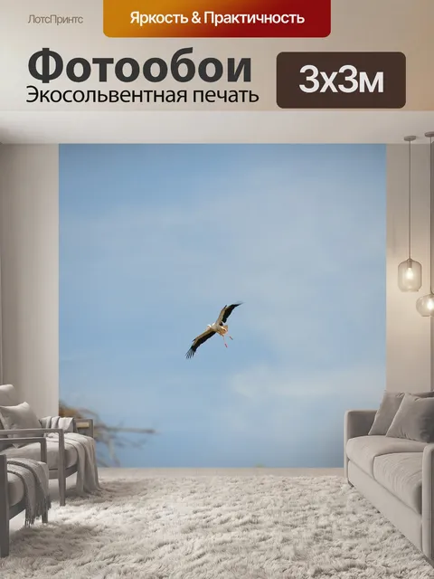 Фотообои Аист