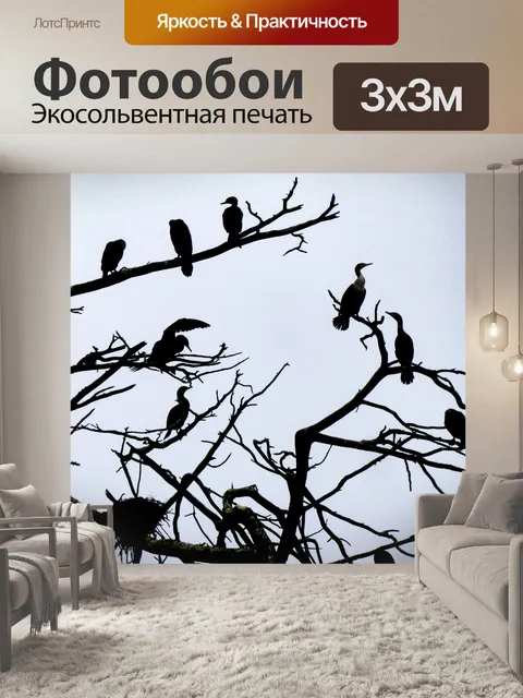 Фотообои Бакланы Силуэт на голом дереве