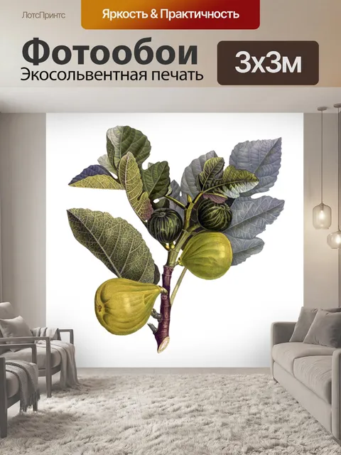 Фотообои Инжир фруктовый винтажный фруктовый