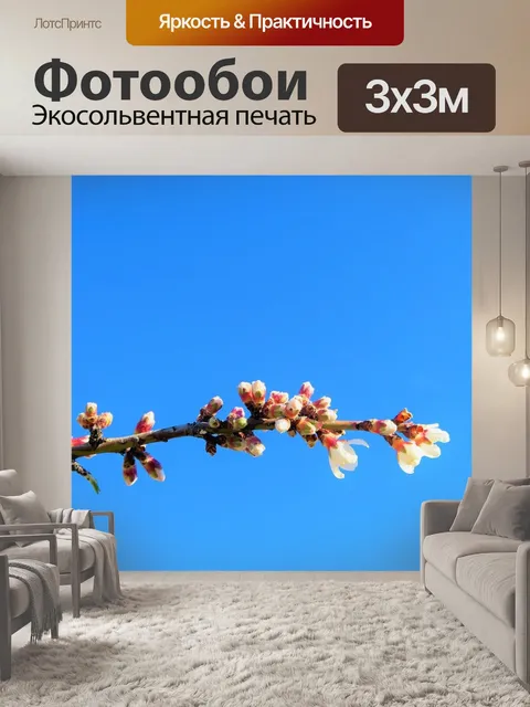 Фотообои Цветок