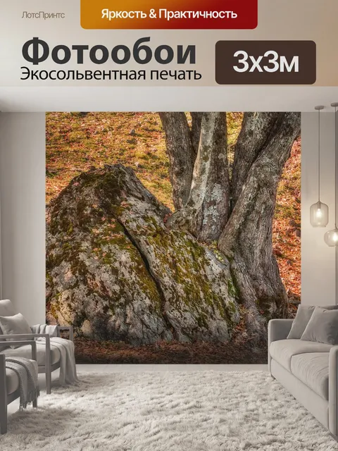 Фотообои Лес