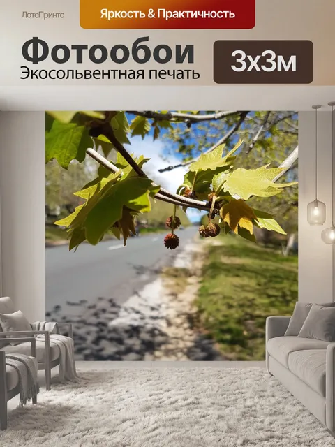 Фотообои Дорога